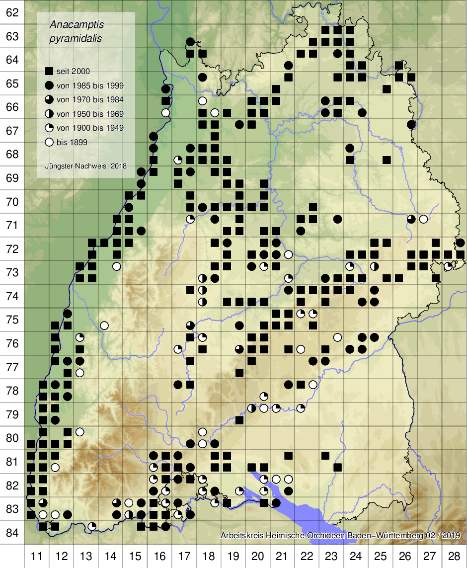 Verbreitungskarte Anacamptis pyramidalis