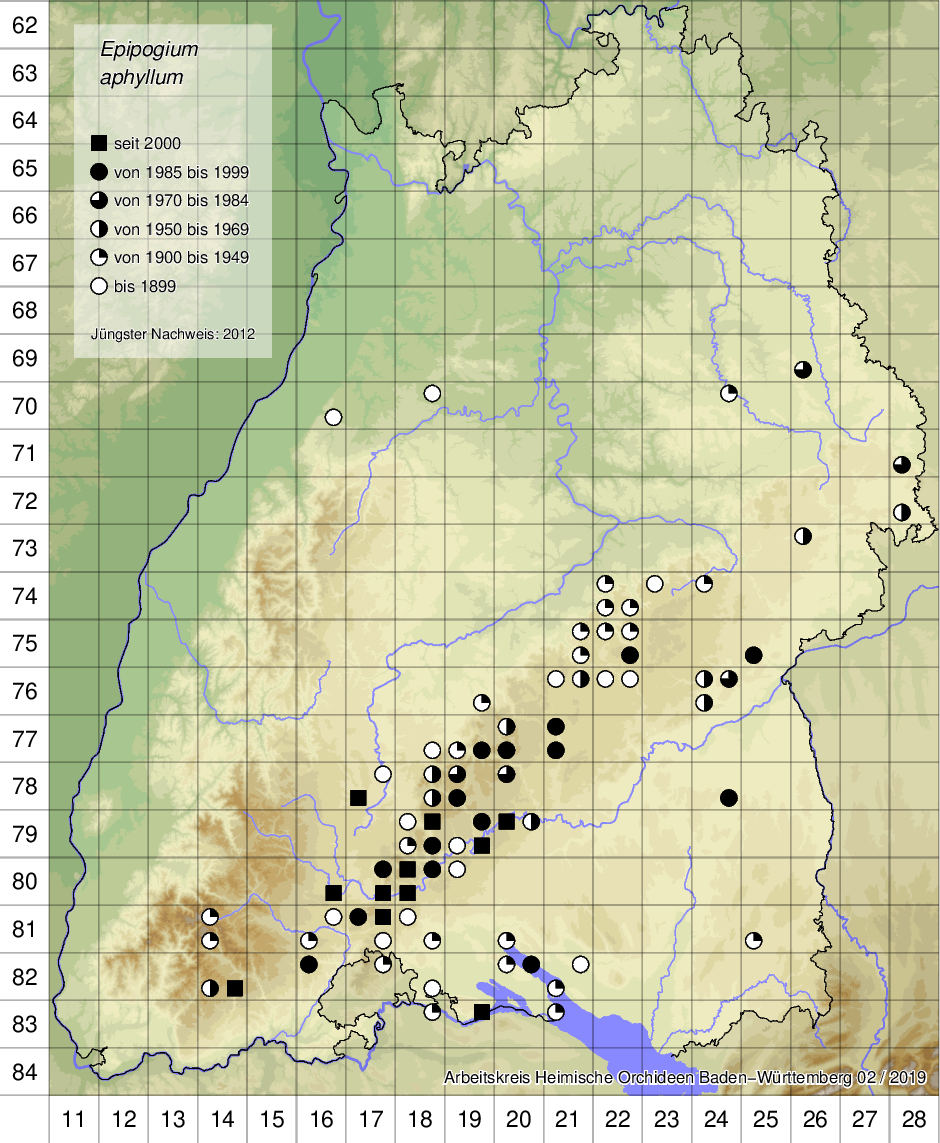 Verbreitungskarte Epipogium aphyllum