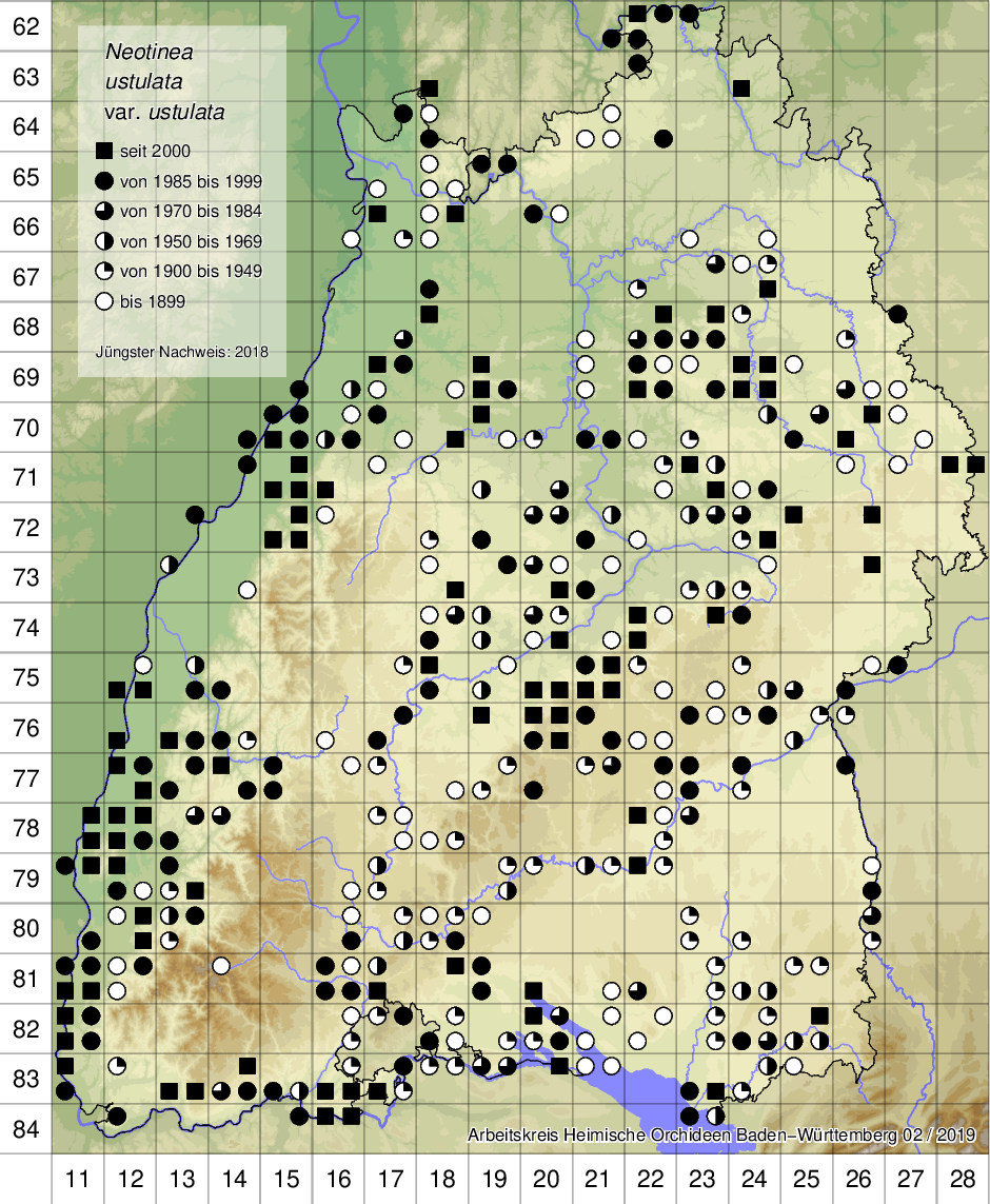 Verbreitungskarte Neotinea ustulata