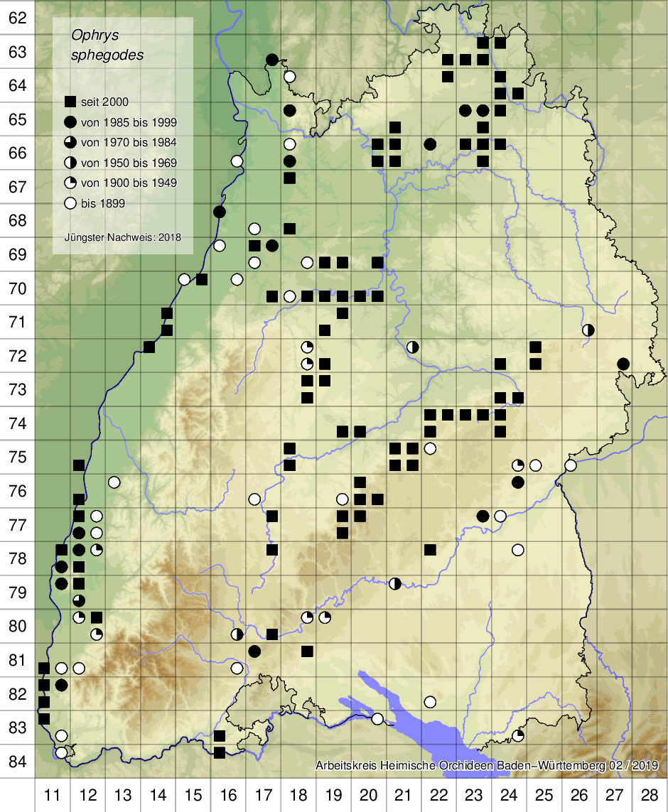 Verbreitungskarte Ophrys sphegodes