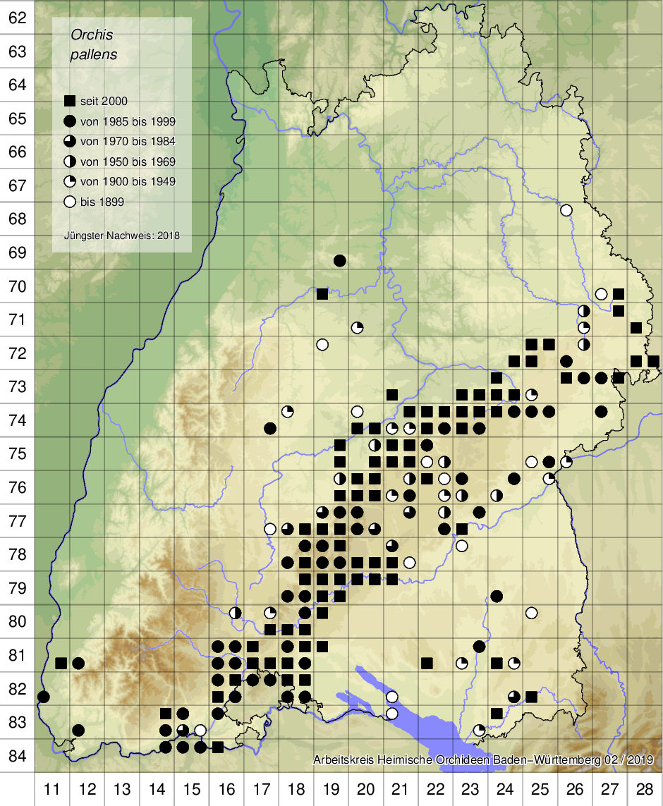 Verbreitungskarte Orchis pallens