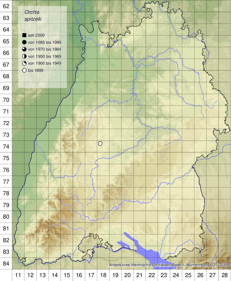 Verbreitungskarte Orchis spitzelii