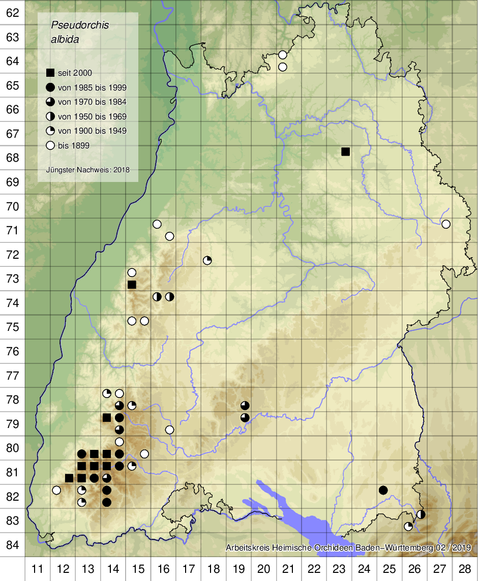 Verbreitungskarte Pseudorchis albida